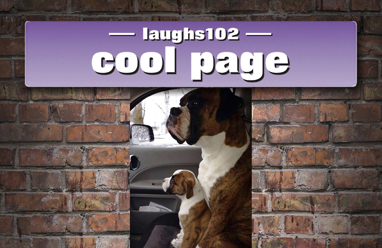laughs102 cool page