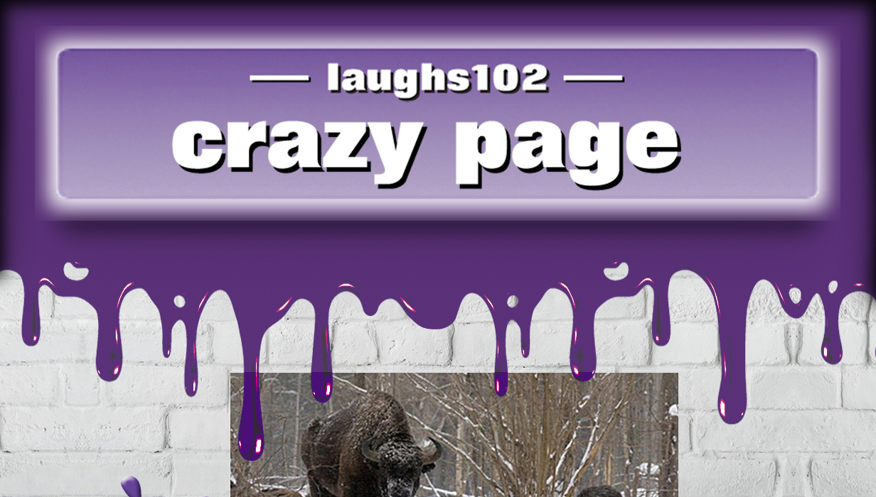laughs101 home page